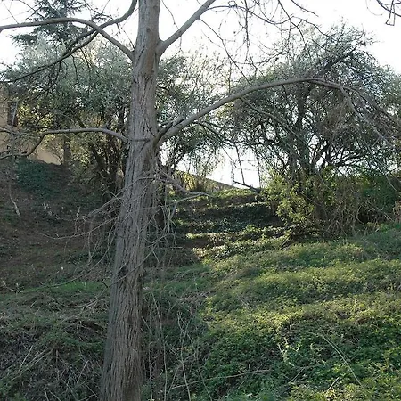 La Corte Dei Semplici Bordolano